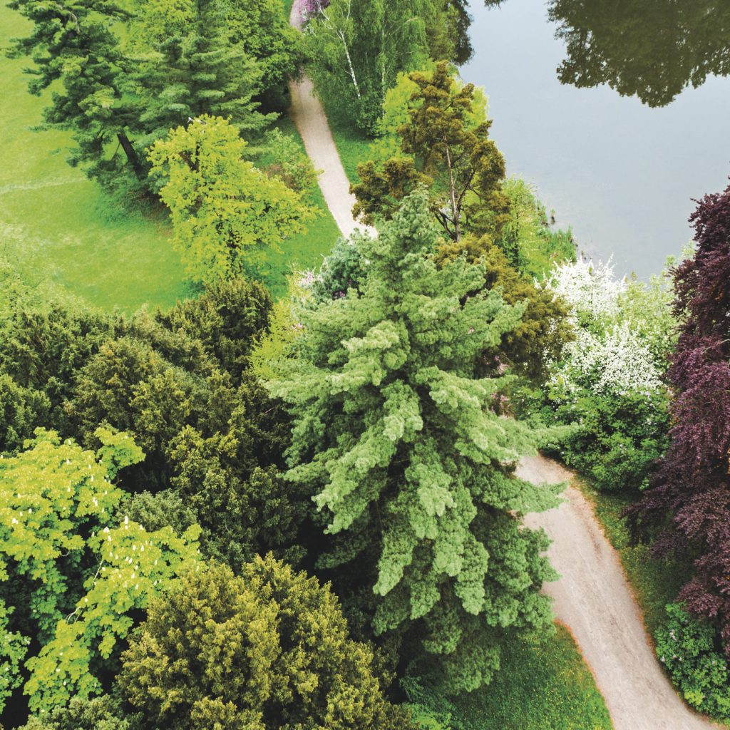 Pressefoto aus dem Magazin ‚Lust auf Gut Stuttgart 2021‘ mit Naturaufnahme; Veröffentlichung über Dr. Jürgen Kässer als Experten für analytisches Coaching, Executive Coaching und Unternehmensberatung.
